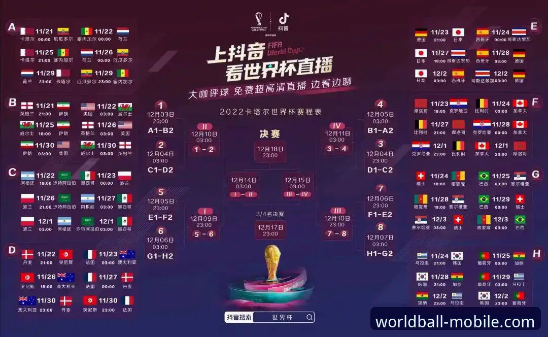 资深用户分享：世界杯正版软件手机版实战经验与2026投注新思路