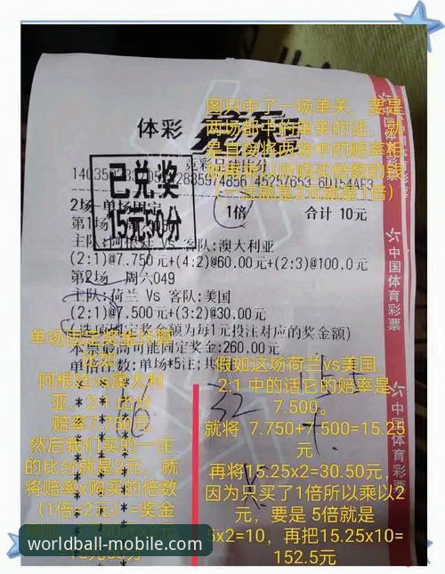 世界杯购彩App下载手机版 新手必看!资深用户分享世界杯购彩App下载手机版实战经验与使用心得